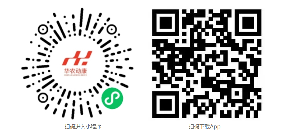 凯发k8官方首页App下载和微信小程序二维码